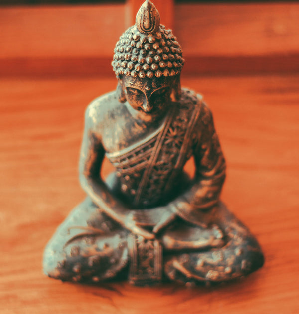 The Buddha's Story - II