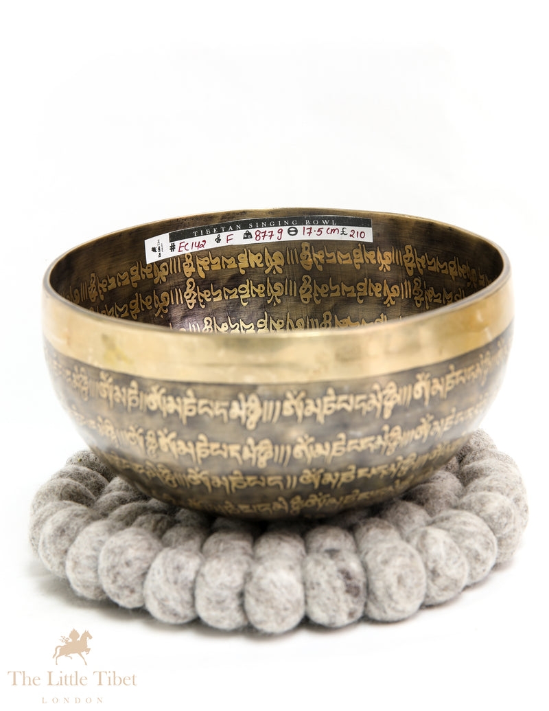Tranquil Tones: Buddha's Eye Tibetan Singing Bowl - EC142