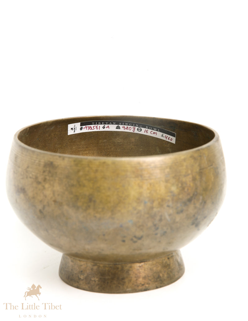 Enigmatic Beauty of Naga Singing Bowl - ATQ561