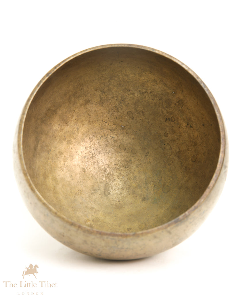 Harmonious Treasures: Naga Tibetan Singing Bowl Collection - ATQ567