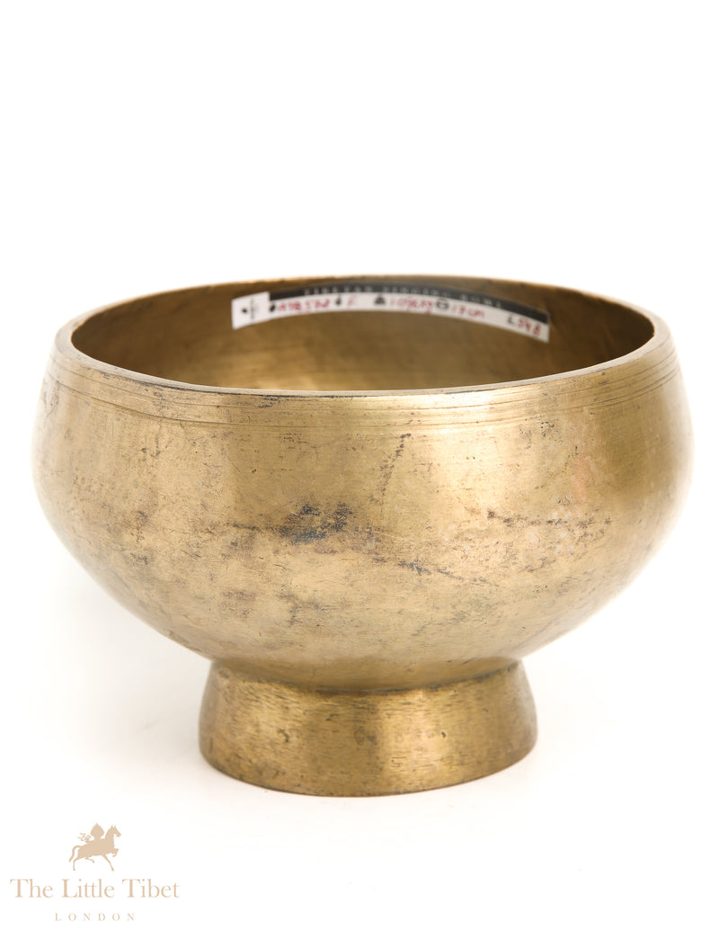 Echoes from the Past: Antique Tibetan Naga Singing Bowl Ensemble - ATQ572