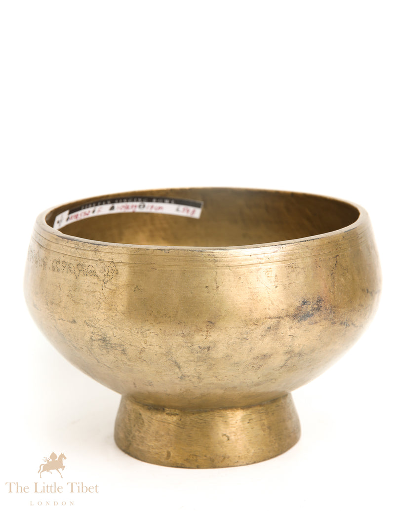 Echoes from the Past: Antique Tibetan Naga Singing Bowl Ensemble - ATQ572