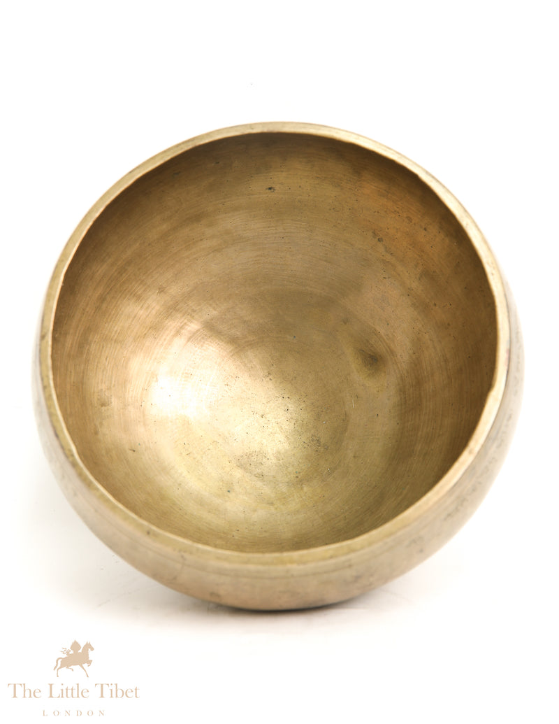 Echoes from the Past: Antique Tibetan Naga Singing Bowl Ensemble - ATQ572