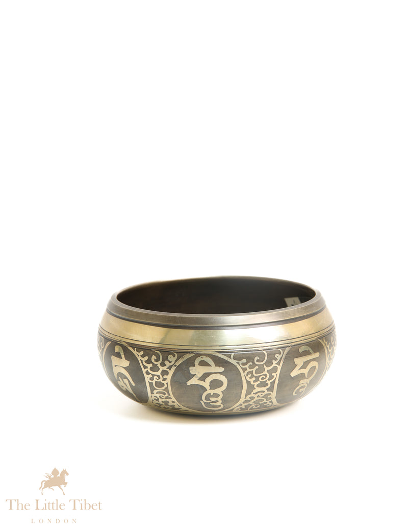 Harmonizing Vibrations: The Significance of "Om" on Tibetan Singing Bowls - BZ417