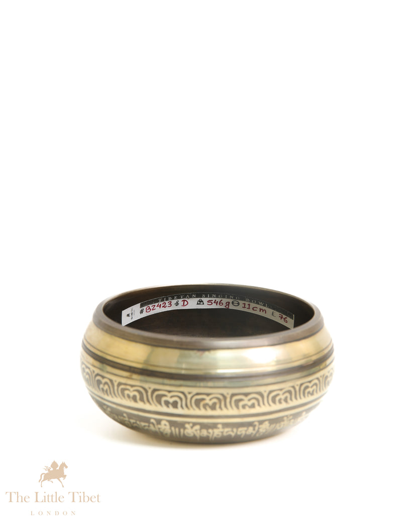Buddha's Wisdom Eyes Tibetan singing bowl  - BZ423