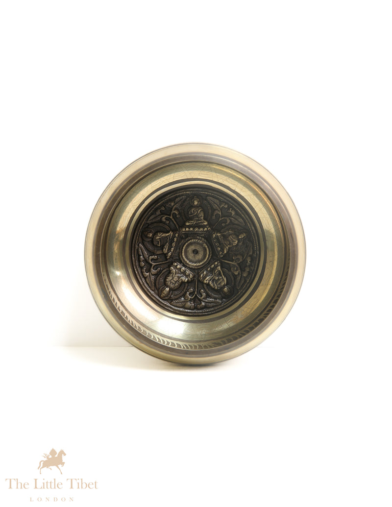 Buddha's Wisdom Eyes Tibetan singing bowl  - BZ423
