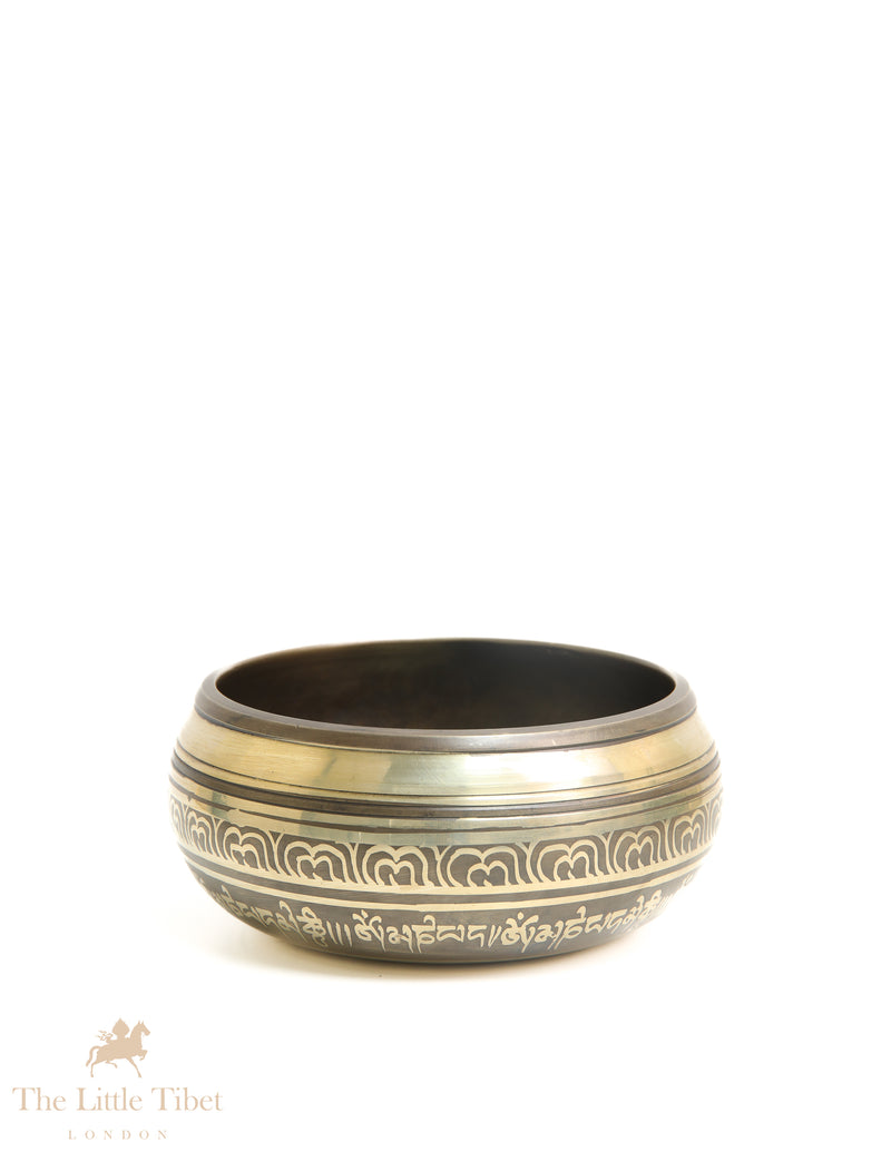 Buddha's Wisdom Eyes Tibetan singing bowl  - BZ423