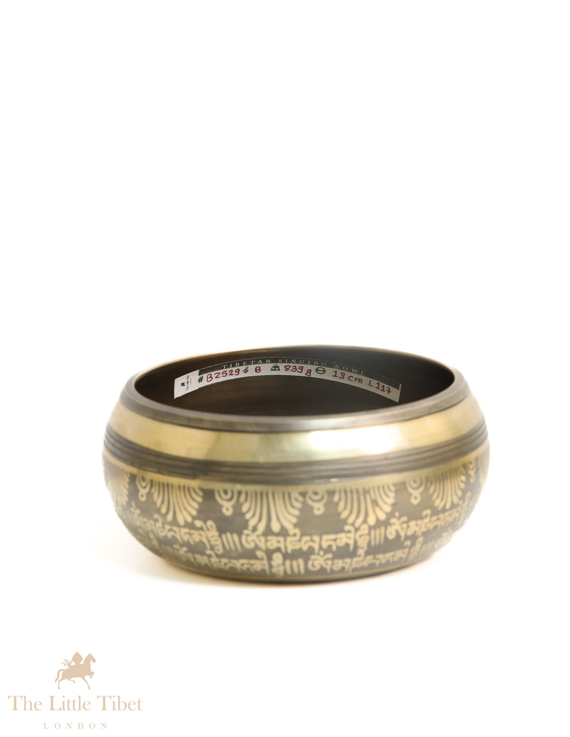 Harmonize Mind, Body, and Spirit: Embrace Holistic Healing with the Om Bronze Tibetan Singing Bowl- BZ529