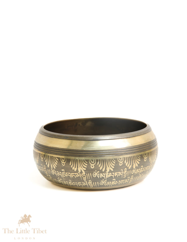 Harmonize Mind, Body, and Spirit: Embrace Holistic Healing with the Om Bronze Tibetan Singing Bowl- BZ529