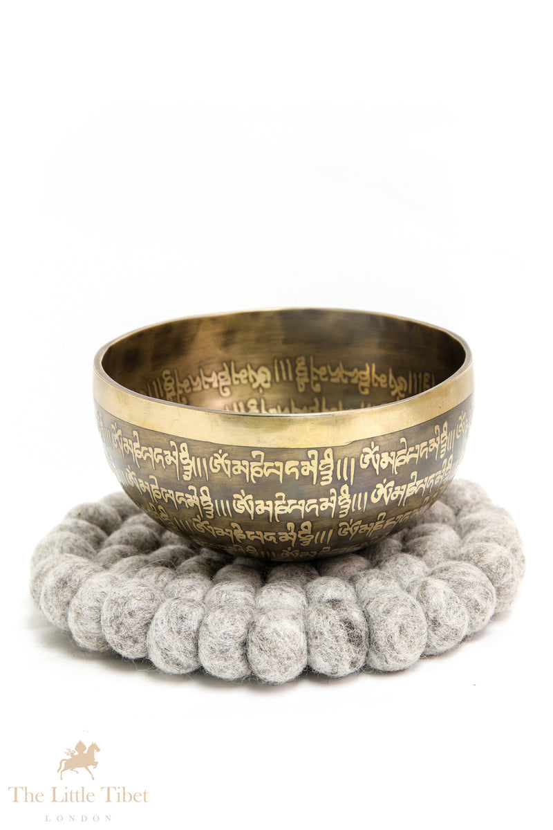 Resonating Serenity: Tibetan Singing Bowl with Compassionate Mantra and Chakra Alignment- EC140