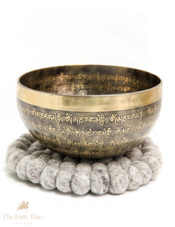 Tranquil Tones: Buddha's Eye Tibetan Singing Bowl - EC142