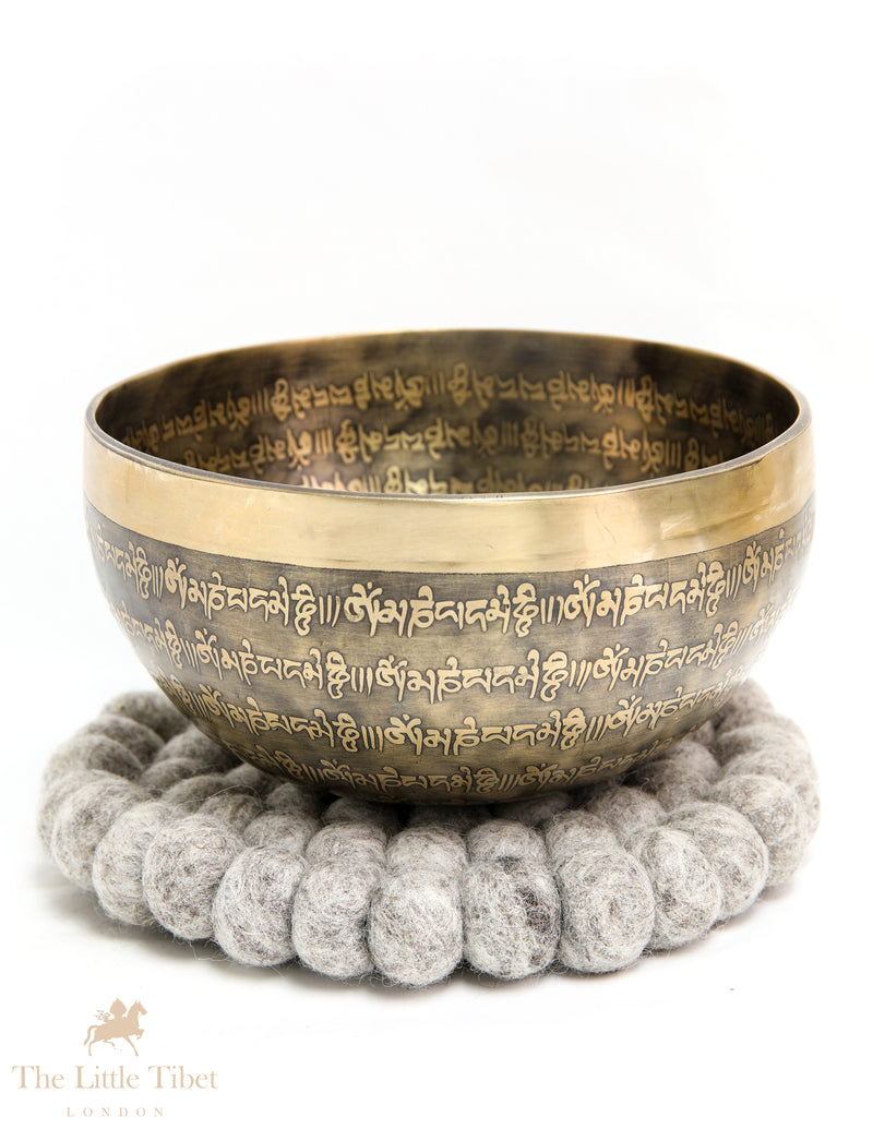 Tranquil Tones: Buddha's Eye Tibetan Singing Bowl - EC142