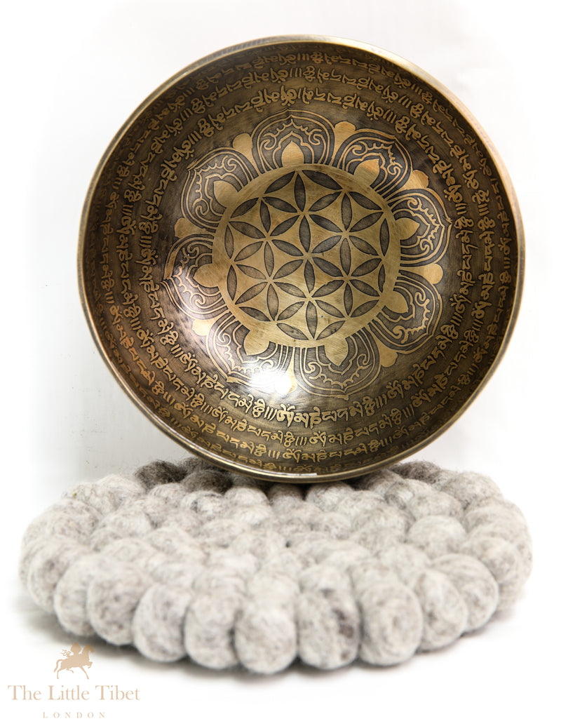 Tranquil Tones: Buddha's Eye Tibetan Singing Bowl - EC142