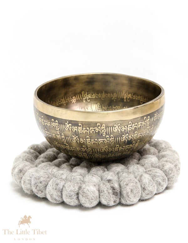 Enlightenment Resonance: Tibetan Singing Bowl with Om Mantra and Chakra Harmony- EC149