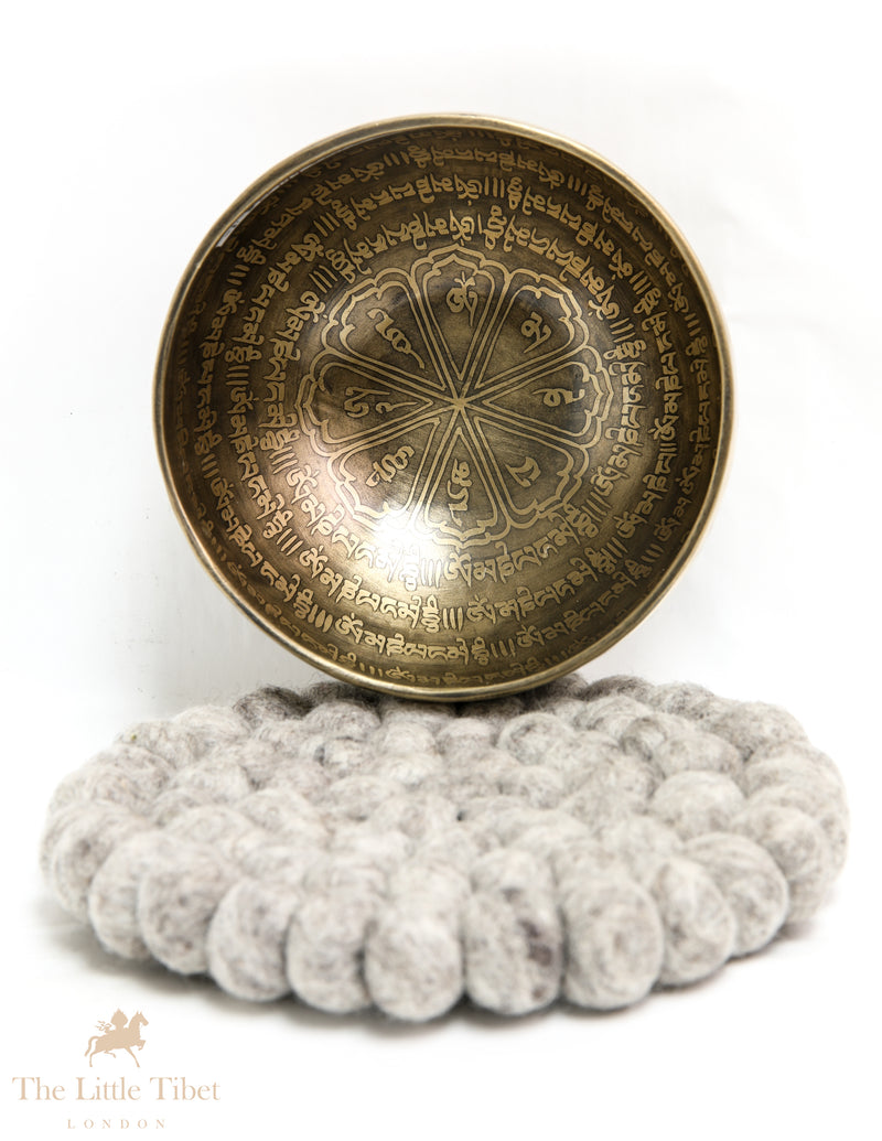 Enlightenment Resonance: Tibetan Singing Bowl with Om Mantra and Chakra Harmony- EC149