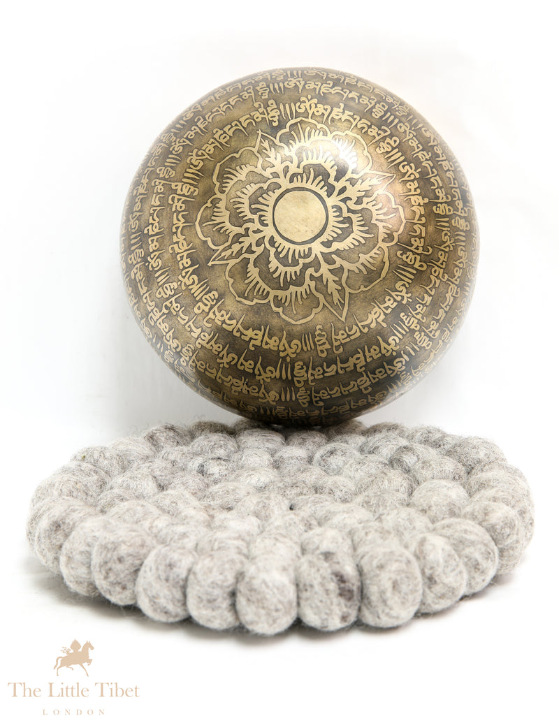 Enlightenment Resonance: Tibetan Singing Bowl with Om Mantra and Chakra Harmony- EC149