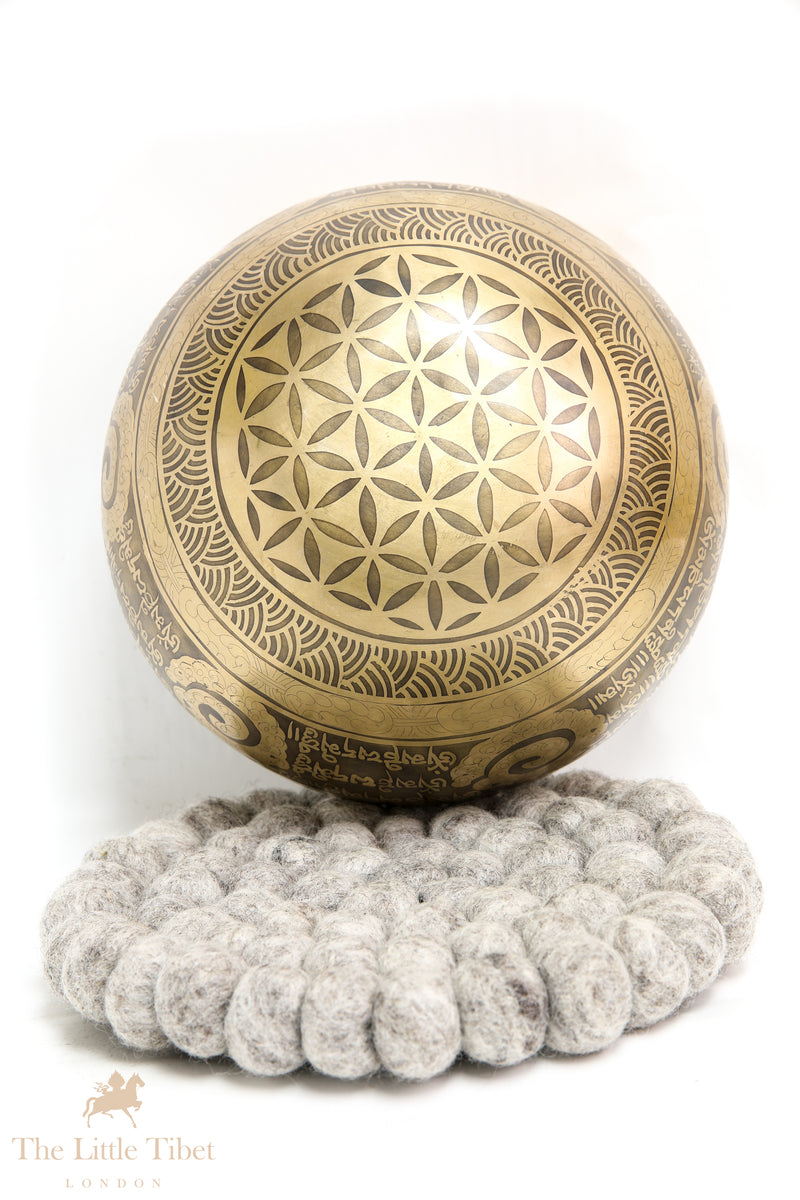 Harmony Resonance: Tibetan Singing Bowl for Throat Chakra Wellness & Expression - EC151