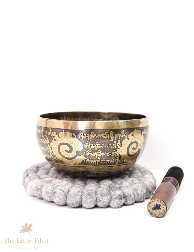 Tibetan Singing Bowl for Crown Chakra EC251