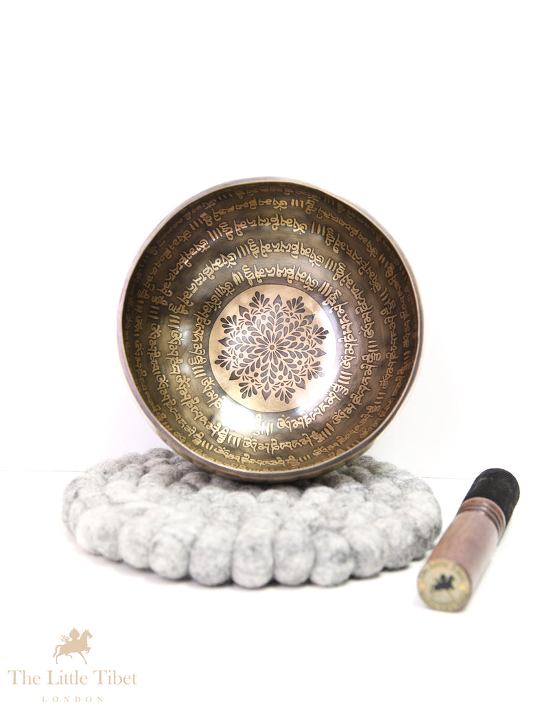 Tibetan Singing Bowl for Crown Chakra EC251
