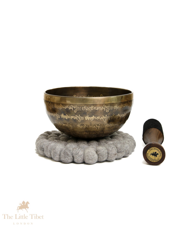Buddha Meditation Singing Bowl | Hand-Etched OM Mantra A & B Note Bowl - EC363