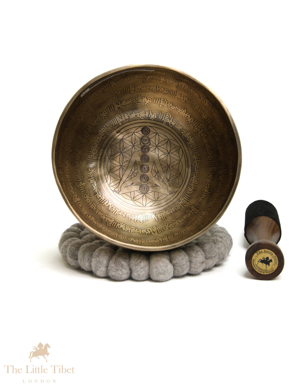 7 Chakra Tibetan Singing Bowl | Hand-Etched OM Mantra A & B Note Bowl - EC364