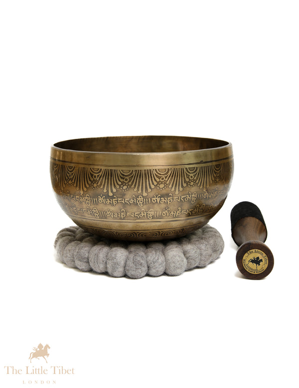 Hand-Etched OM Singing Bowl | 7-Metal D & E Note Tibetan Mantra Bowl-EC365