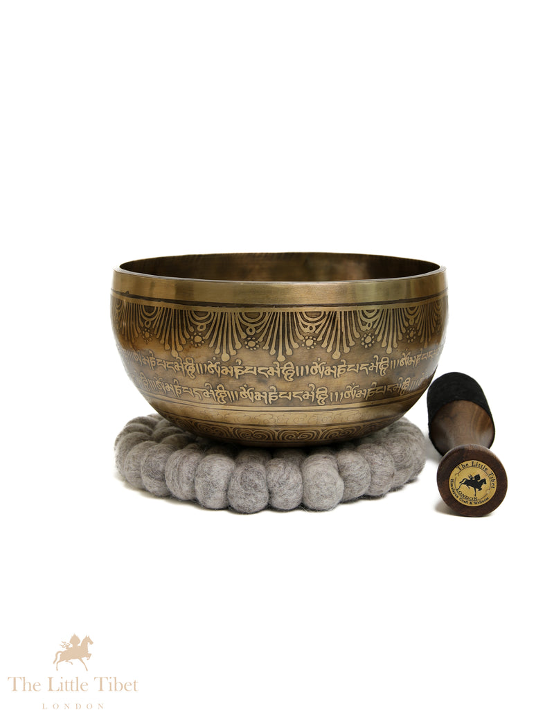 Hand-Etched OM Singing Bowl | 7-Metal D & E Note Tibetan Mantra Bowl-EC365