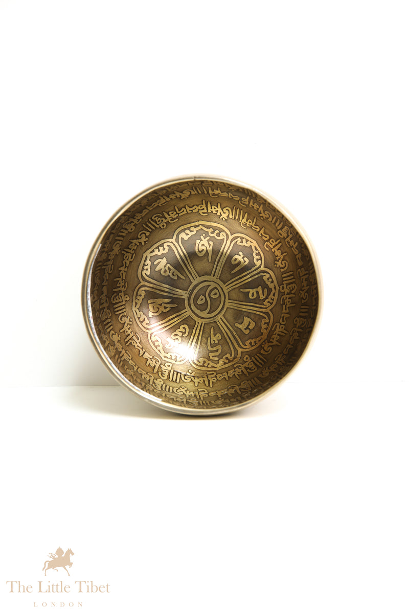 Find Inner Serenity with Singing Bowls: Unveiling the Essential Path to Calm and Spiritual Awakening- EC36