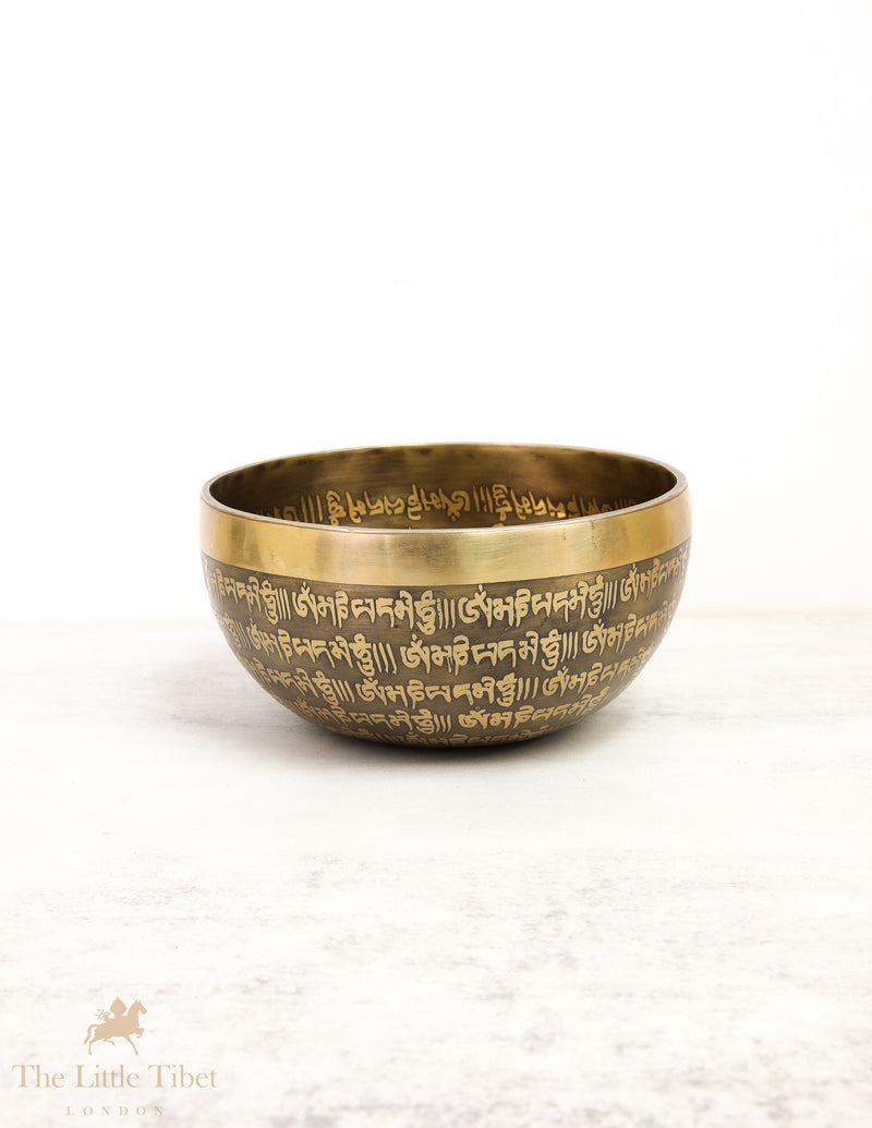 Tibetan Iconographies of OM Singing Bowl for Sound Healing - EC50