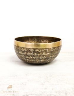 OM Sound Therapy Tibetan Singing Bowl - EC82