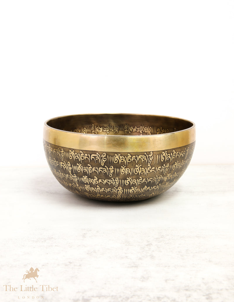 OM Sound Therapy Tibetan Singing Bowl - EC82