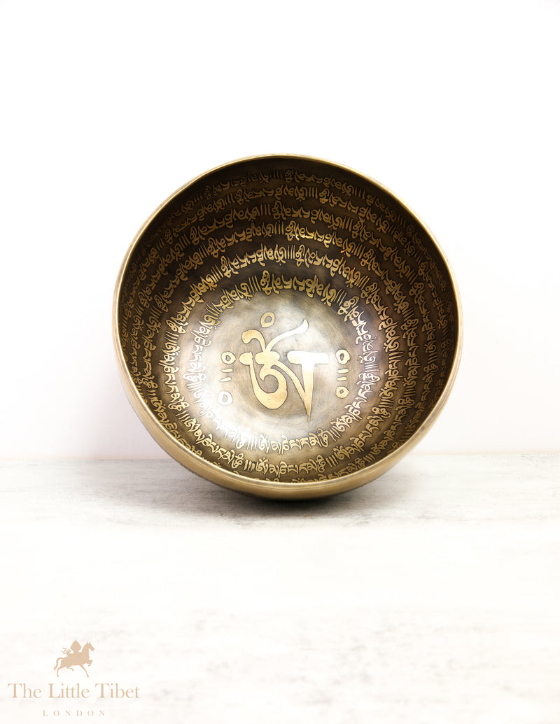 OM Sound Therapy Tibetan Singing Bowl - EC82