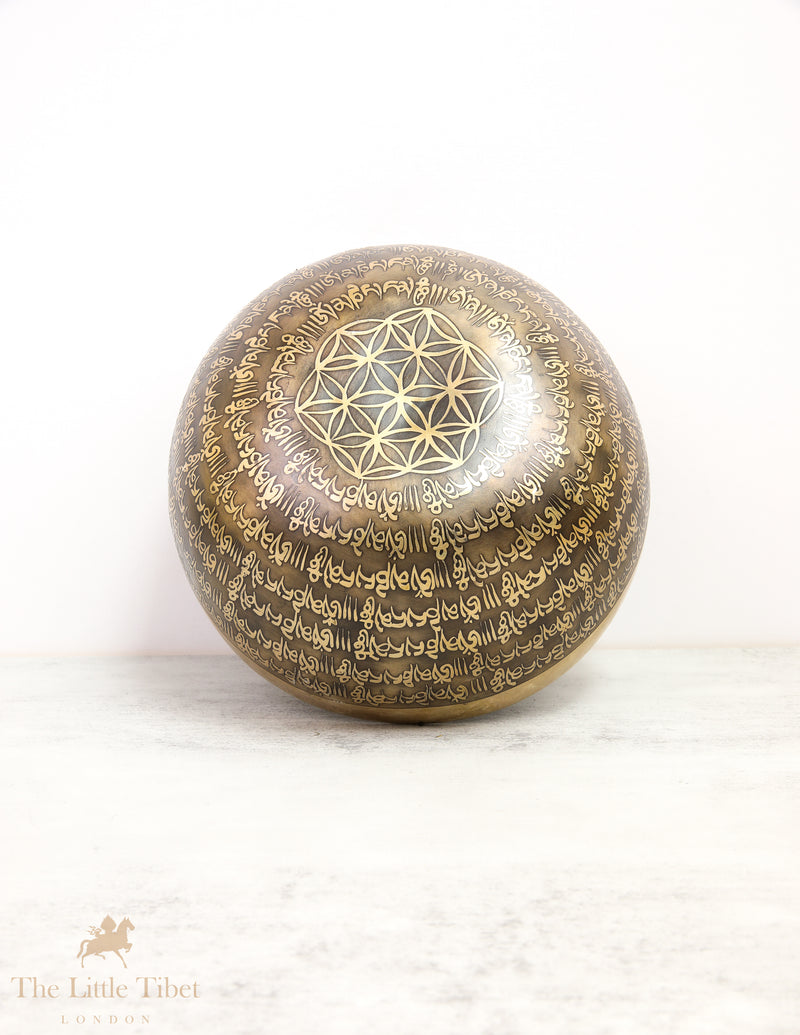 OM Sound Therapy Tibetan Singing Bowl - EC82