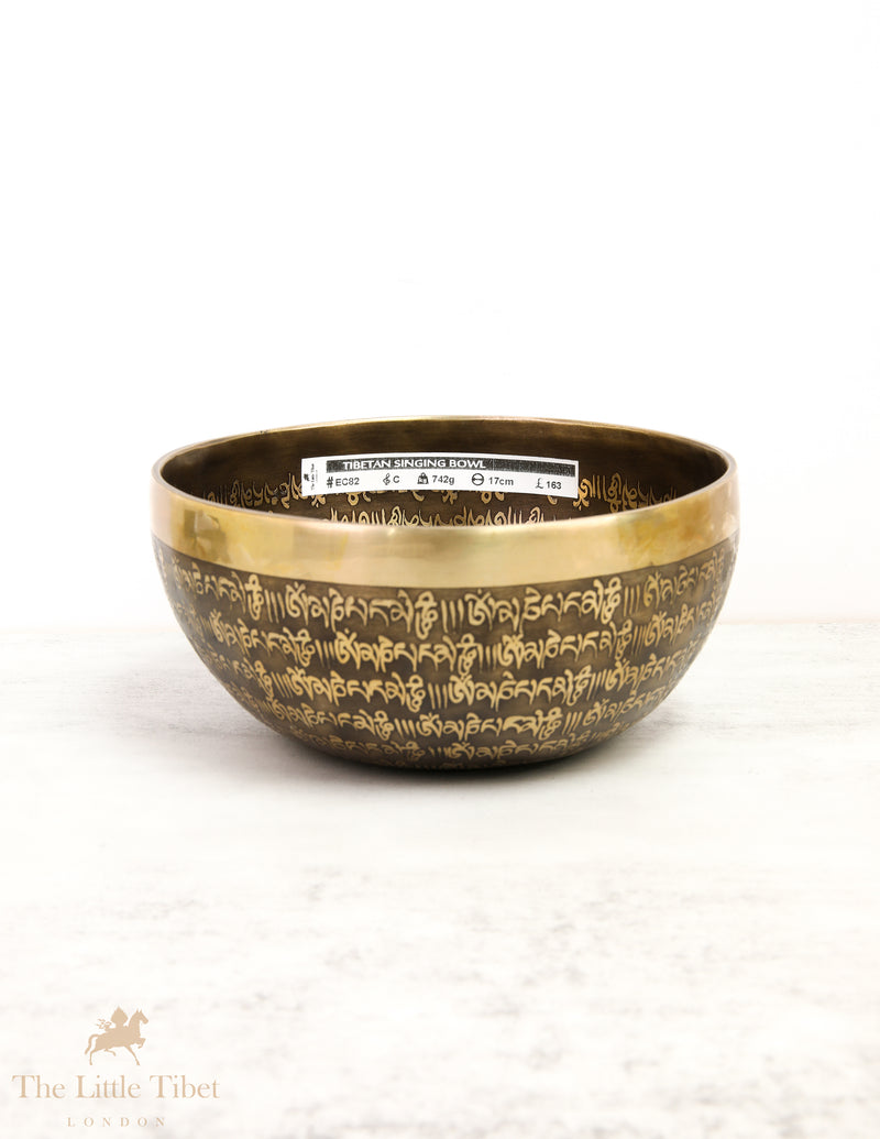 OM Sound Therapy Tibetan Singing Bowl - EC82