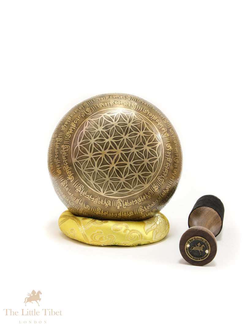 Hand-Beaten Tibetan Singing Bowl – Heart Chakra Sound Healing Bowl with Mantra Etching (Note D)- EC88