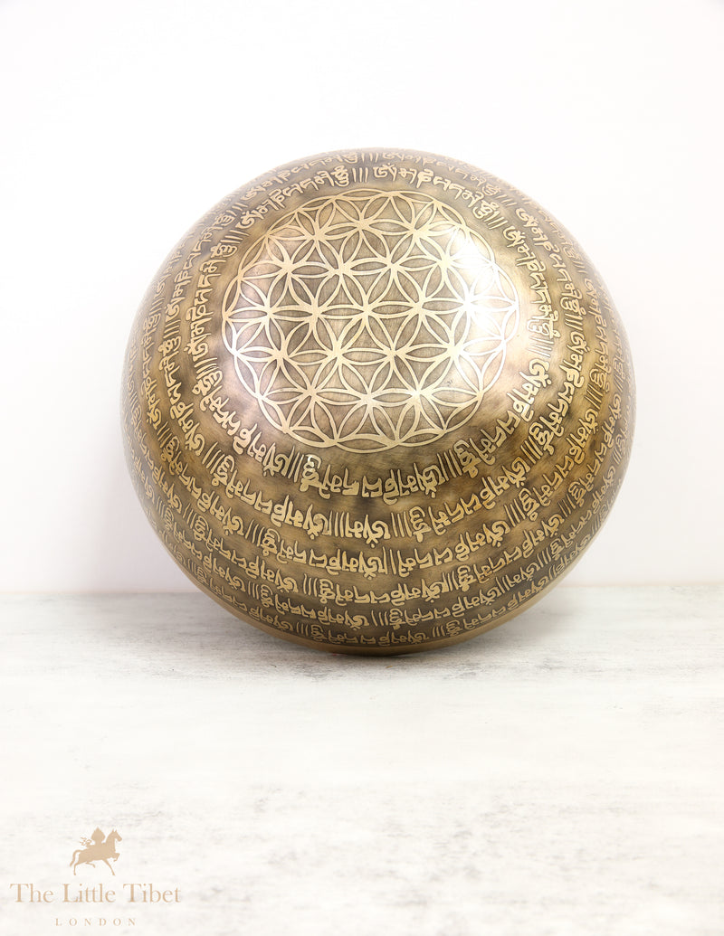 Flower of Life Tibetan Singing Bowl for Meditation - EC99