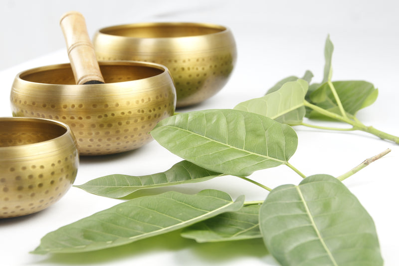 Portable Bliss: Experience Ease and Harmony with the Tibetan Brass Singing Bowl for Yoga and Meditation