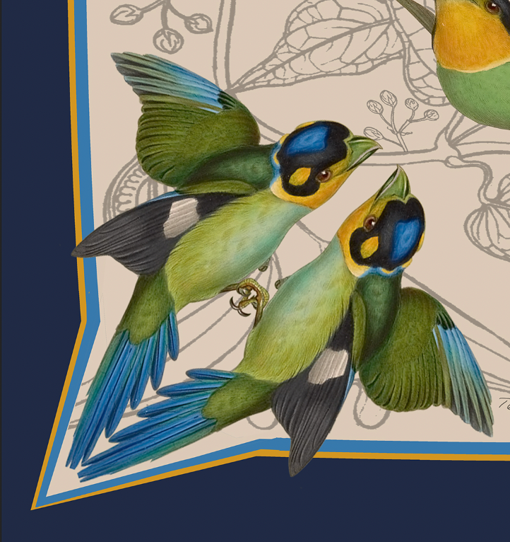 Long-tailed Broadbill Bird Square Silk Scarf – Pure Silk Twill (88cm x 88cm)