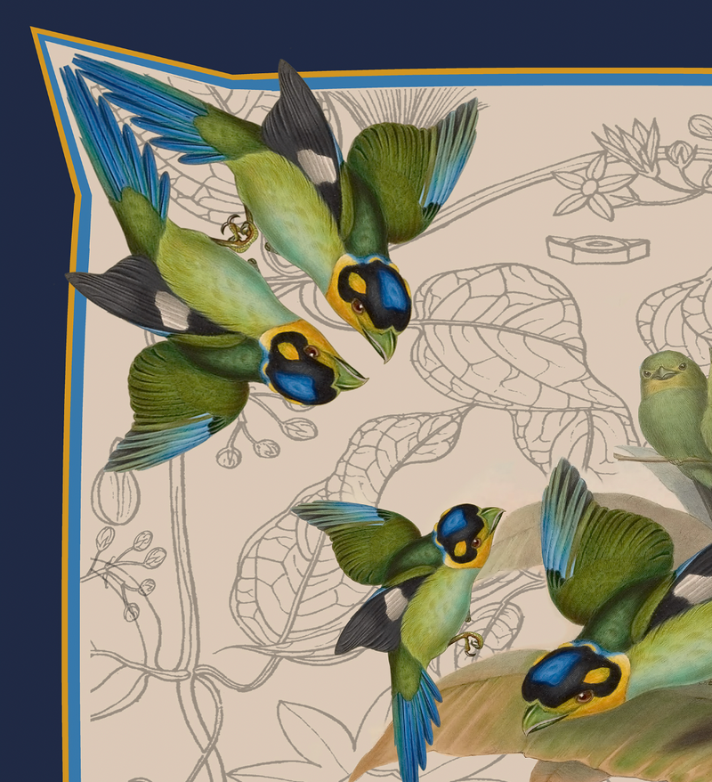 Long-tailed Broadbill Bird Square Silk Scarf – Pure Silk Twill (88cm x 88cm)