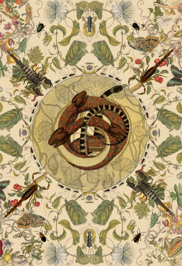 The Enchanting Silk Scarf – Infinity, Transformation & Botanical Elegance in Pure Silk