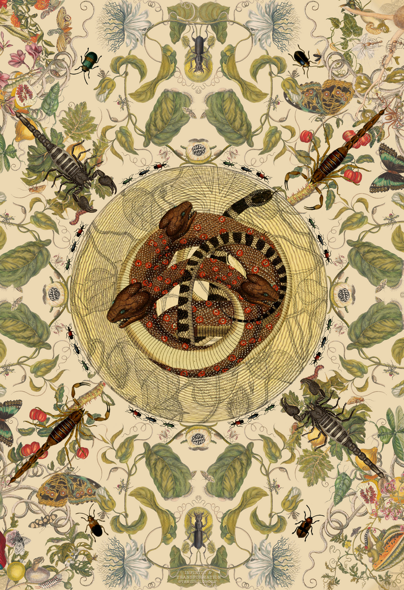The Enchanting Silk Scarf – Infinity, Transformation & Botanical Elegance in Pure Silk