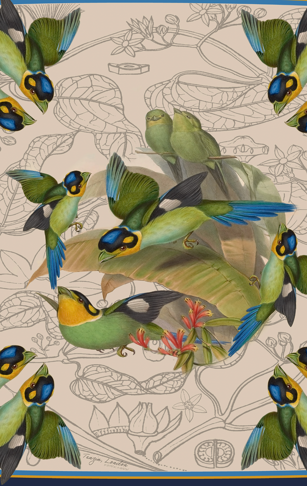 Long-tailed Broadbill Bird Square Silk Scarf – Pure Silk Twill (88cm x 88cm)