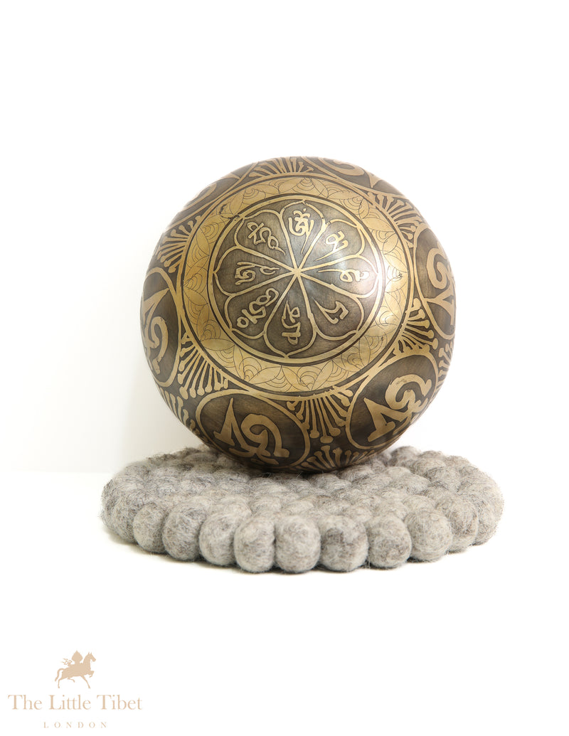 Sound Healing Tibetan Iconographies Singing Bowl - EC52