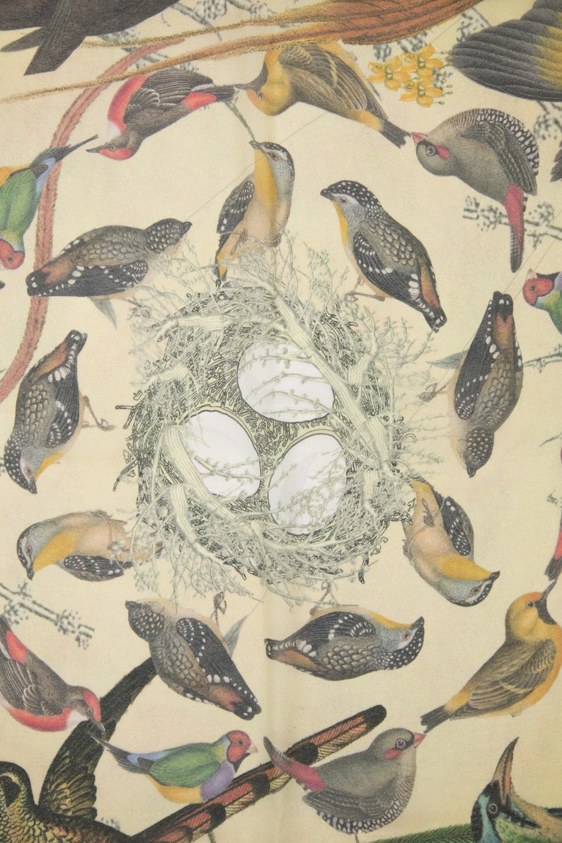 Bird's Nest Square Silk Scarf- Teal Green
