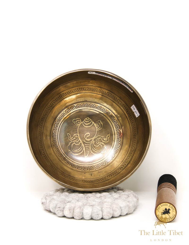 Tibetan Singing Bowl OM MANI PADME HUM Iconographies- A227
