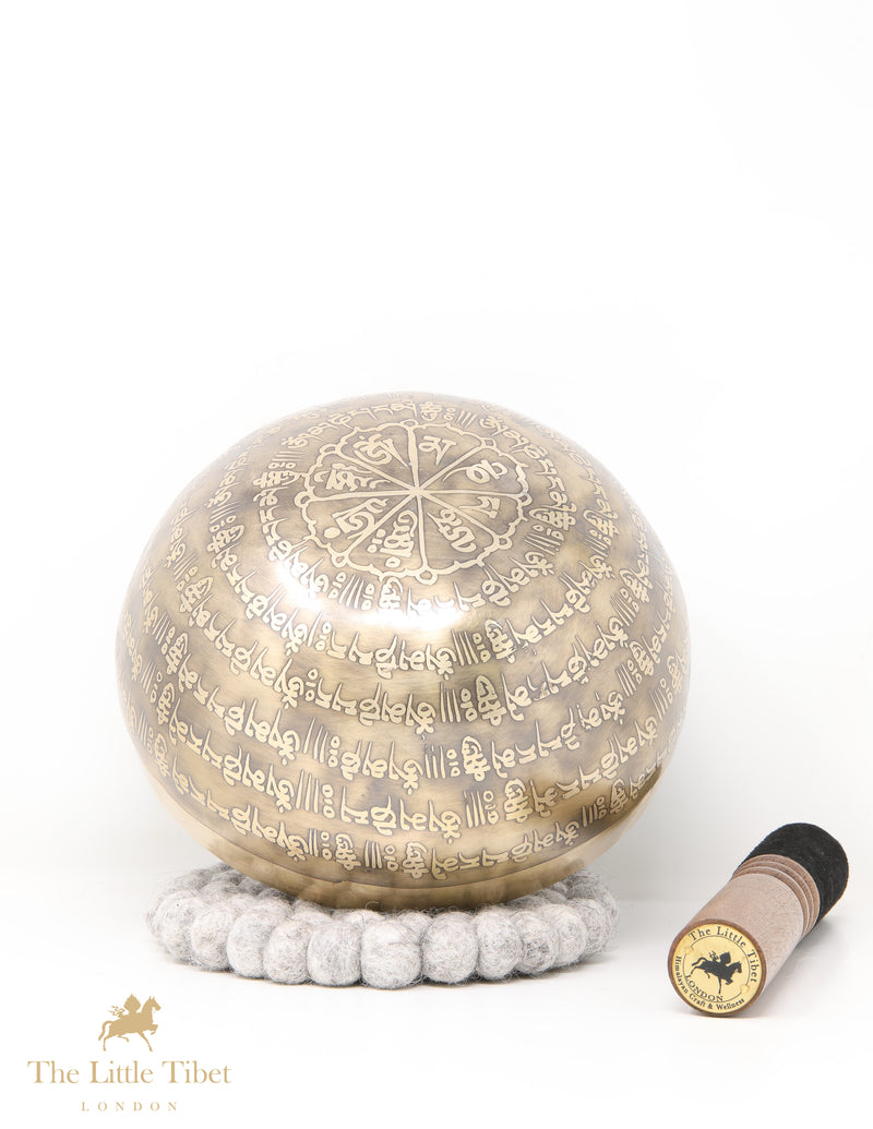 Om Tibetan Singing Bowl for Healing & Meditation - AM62