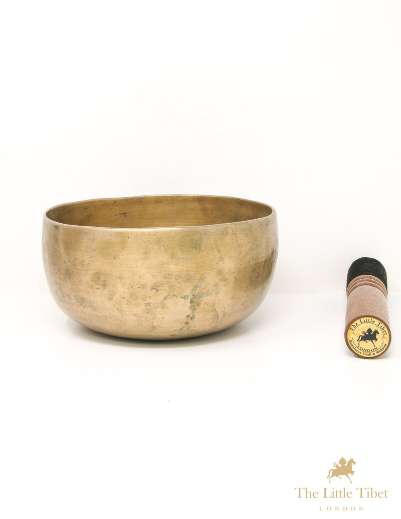 Himalayan Healing Plain Singing Bowl - B70