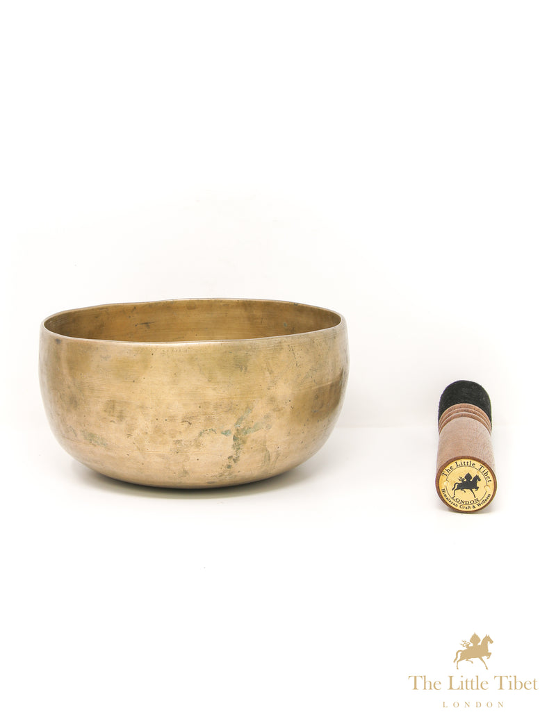 Himalayan Healing Plain Singing Bowl - B70
