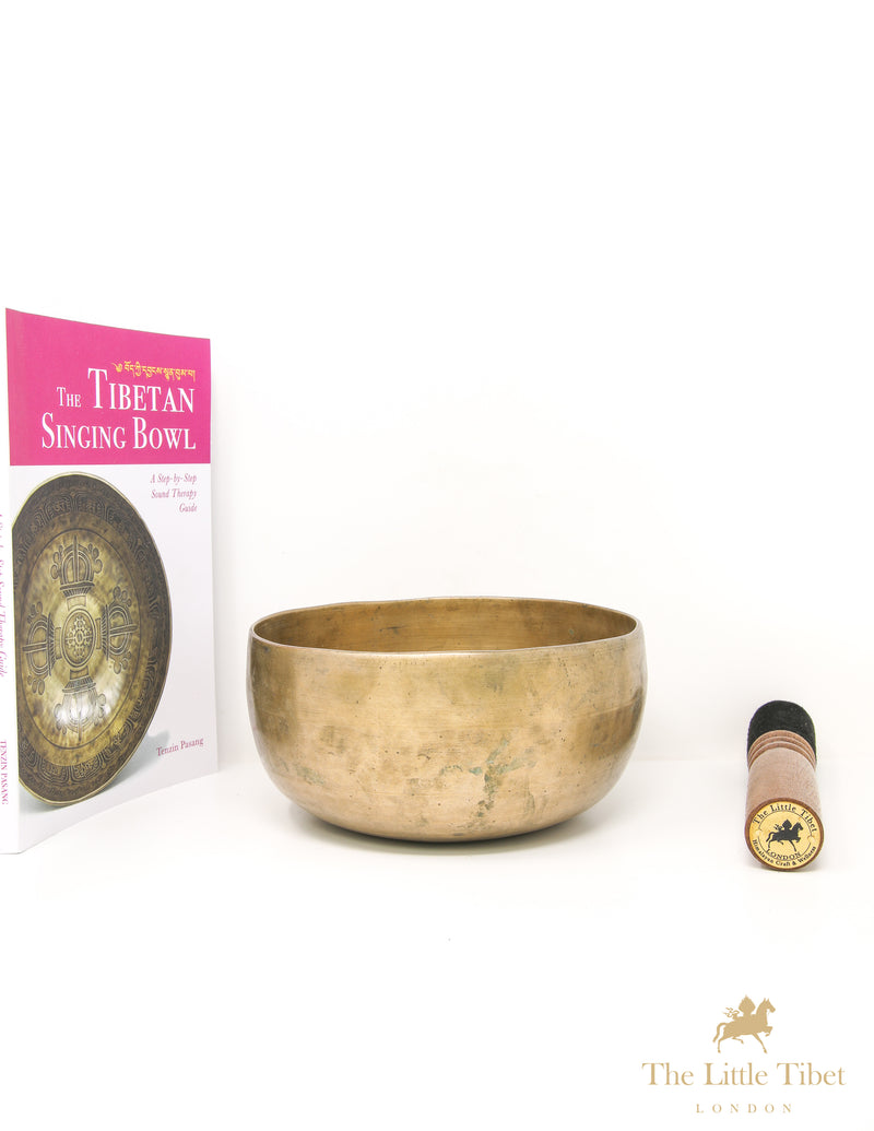 Himalayan Healing Plain Singing Bowl - B70