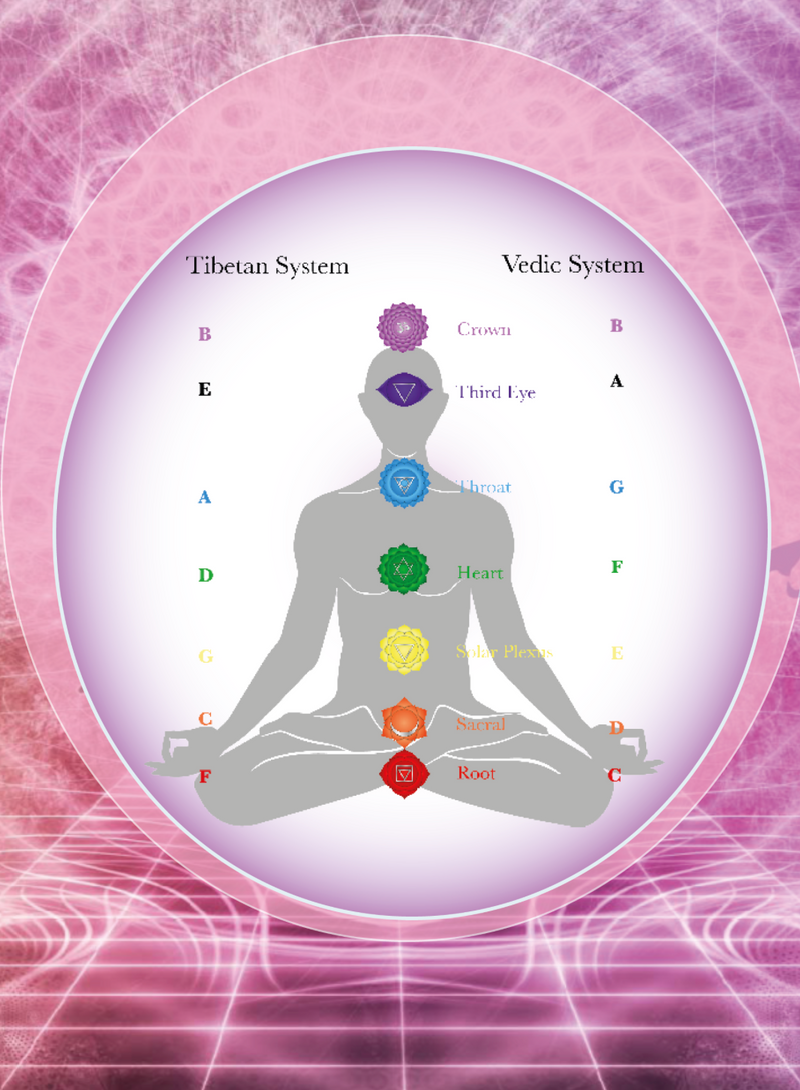 Sanskrit Mantra Tibetan Singing Bowl for Meditation and Healing - A238